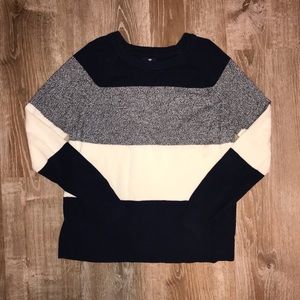 Striped Navy Knit Sweater
